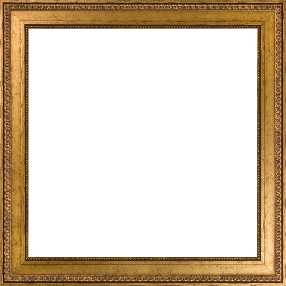 Versailles Gold King Frame 24"X24"
