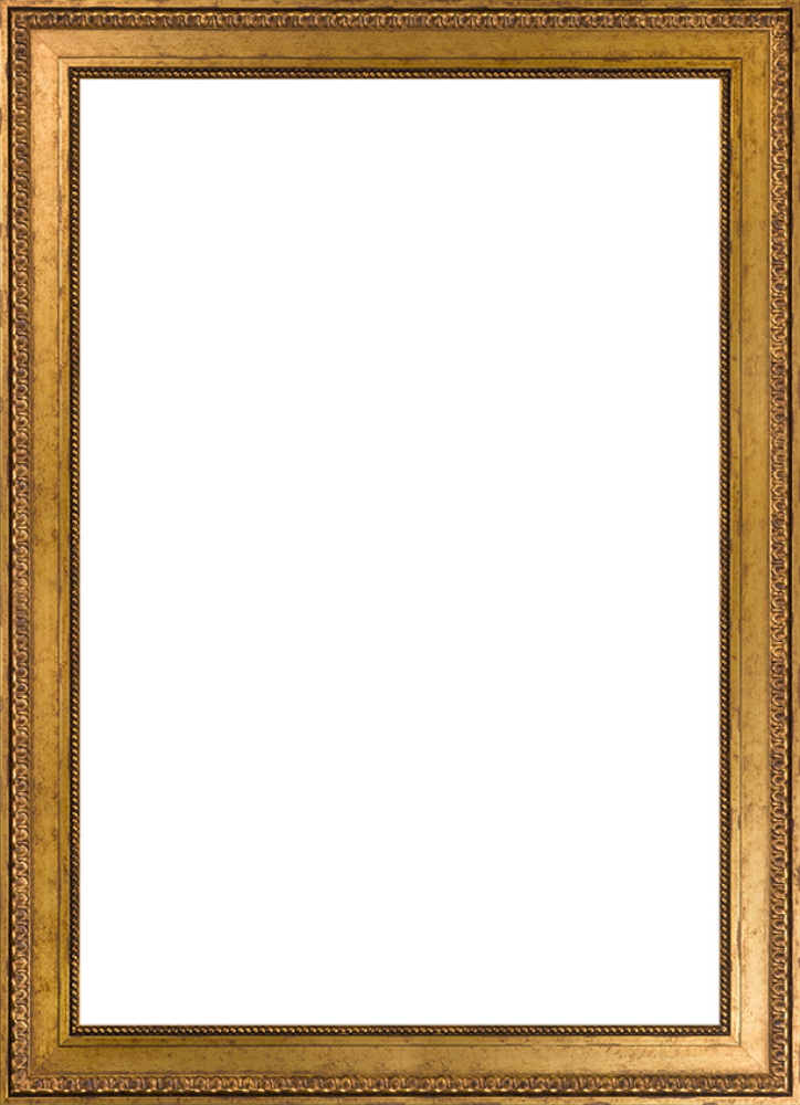 Versailles Gold King Frame 24" X 36"