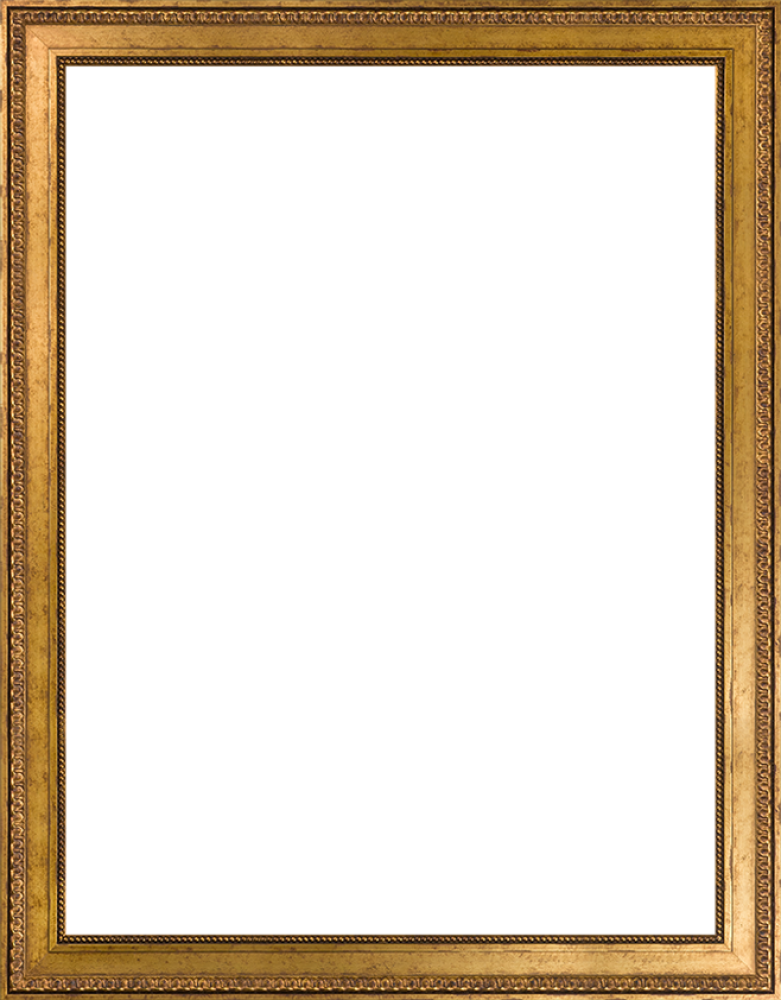 Versailles Gold King Frame 30"X40"