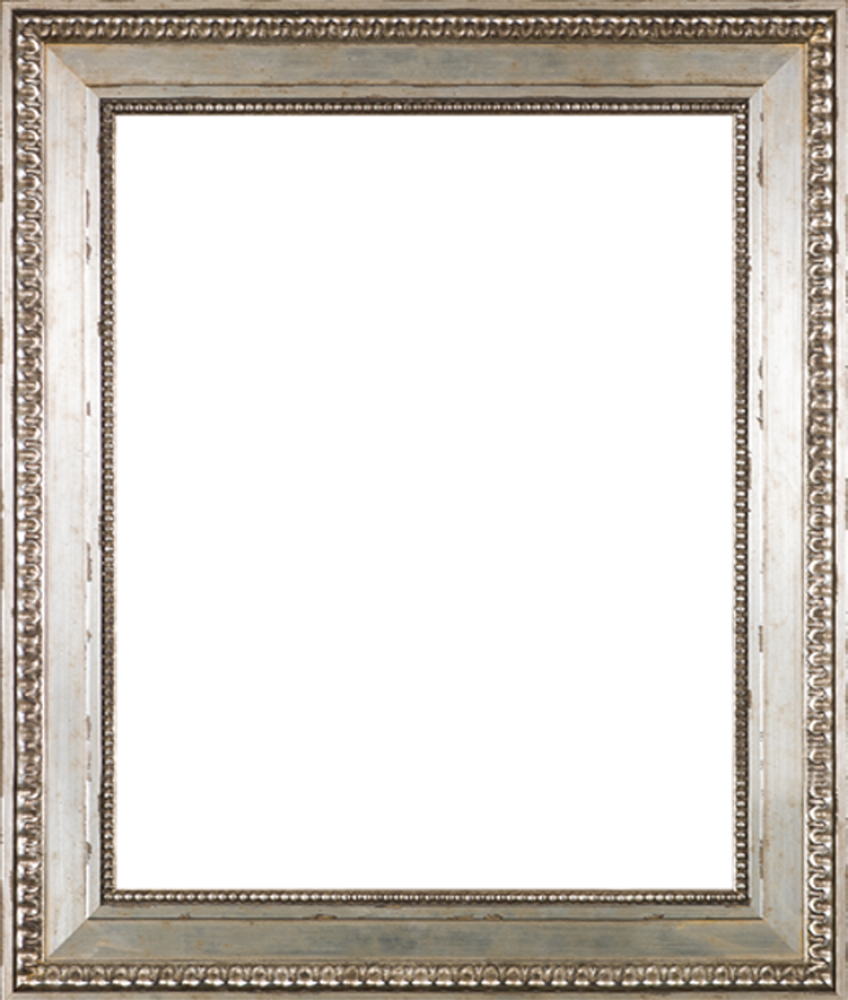Versailles Silver King Frame 16" X 20"