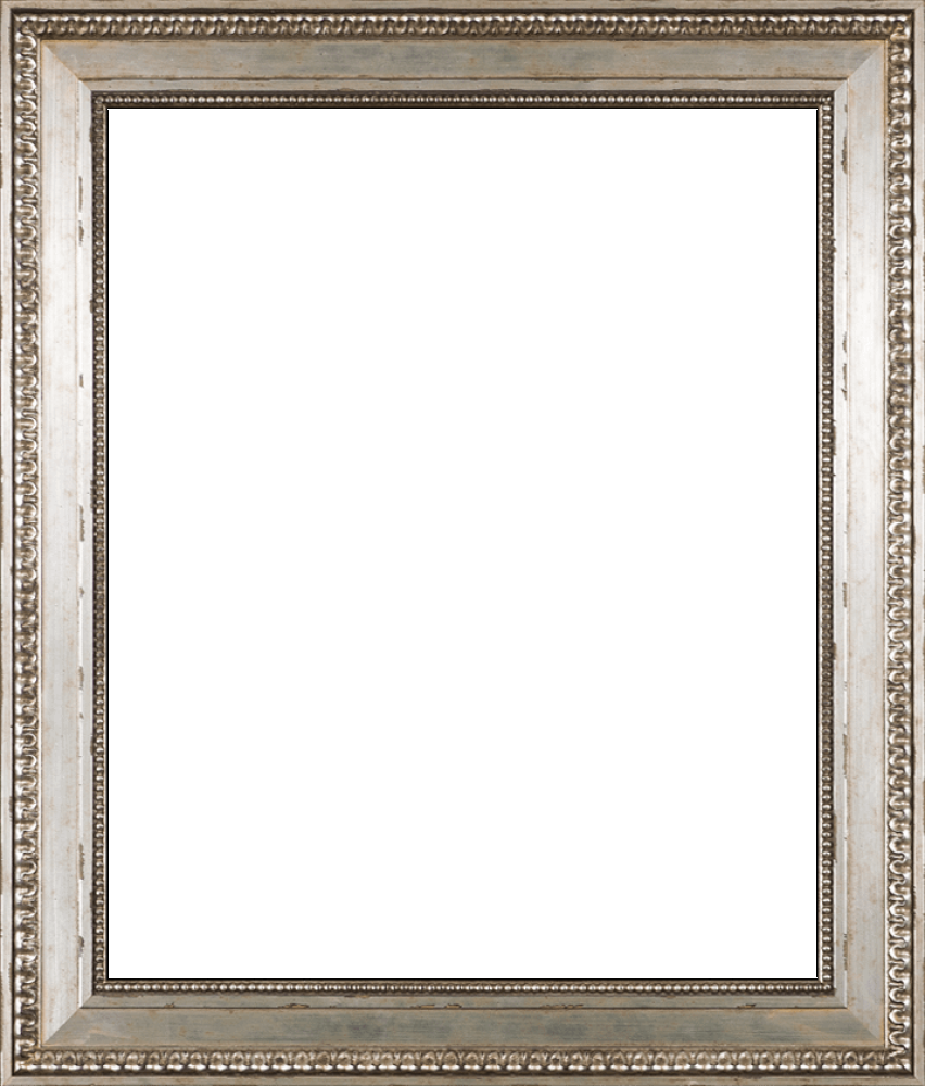 Versailles Silver King Frame 20" X 24"