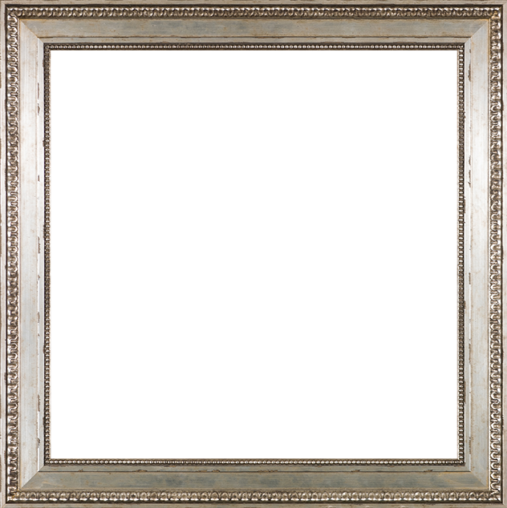 Versailles Silver King Frame 24" X 24"