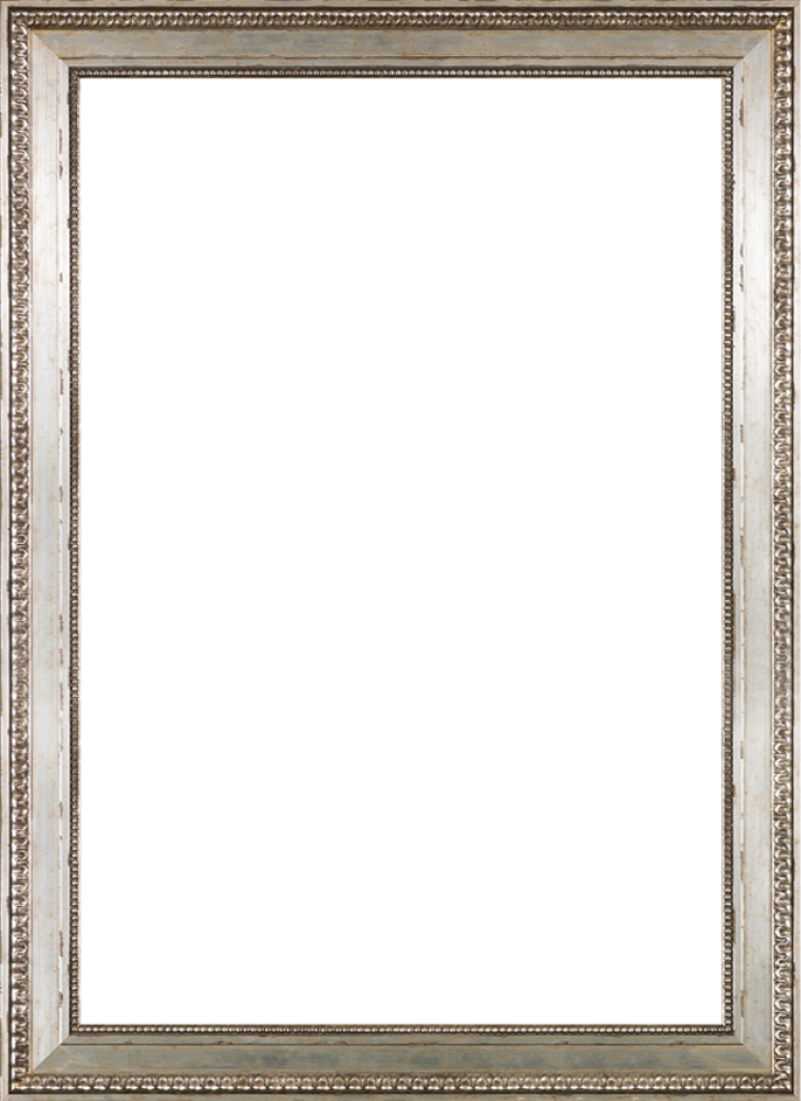 Versailles Silver King Frame 24" X 36"