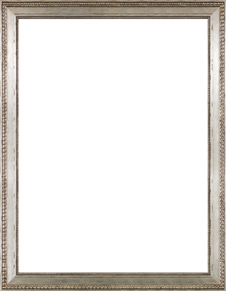 Versailles Silver King Frame 30" X 40"