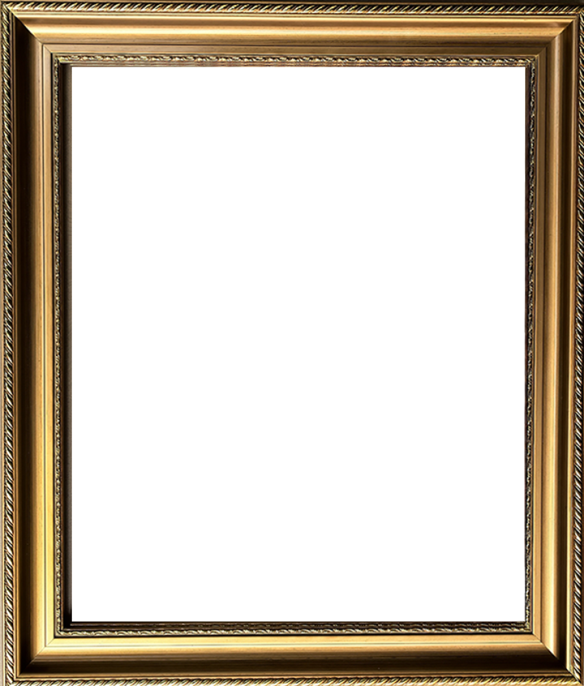 Regency Gold Frame 20"X24"