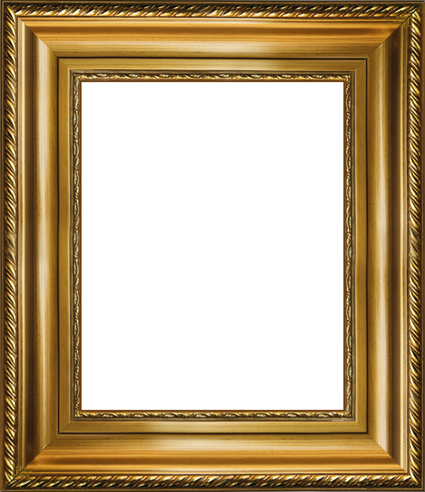 Regency Gold Frames 8"X10"