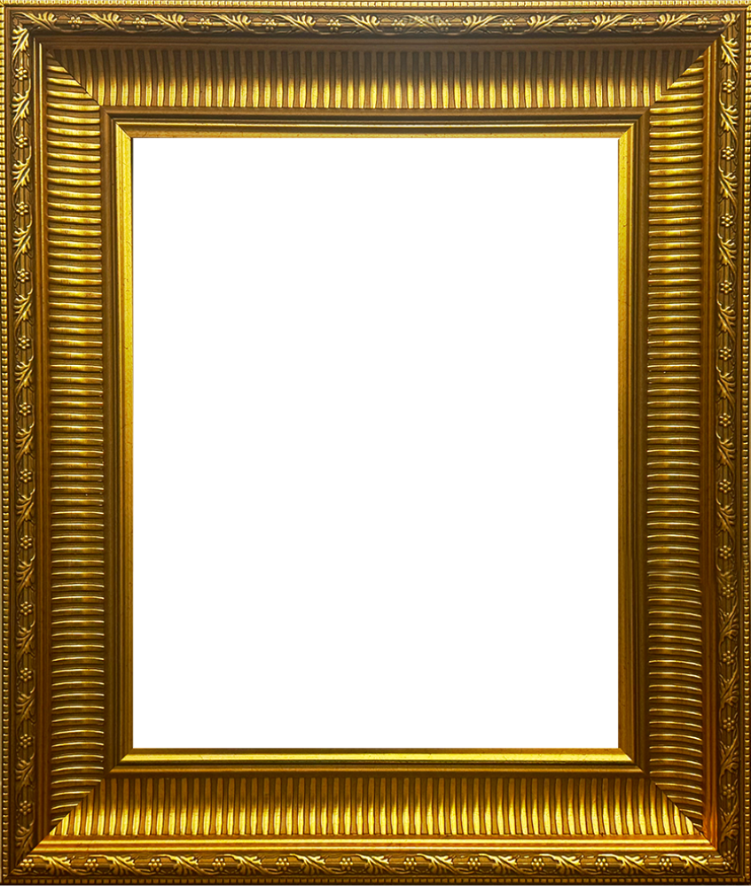 Regal Gold Frame 16"X20"