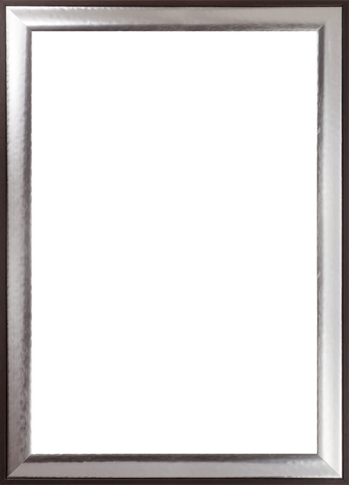 Magnesium Silver Frame 24" X 36"