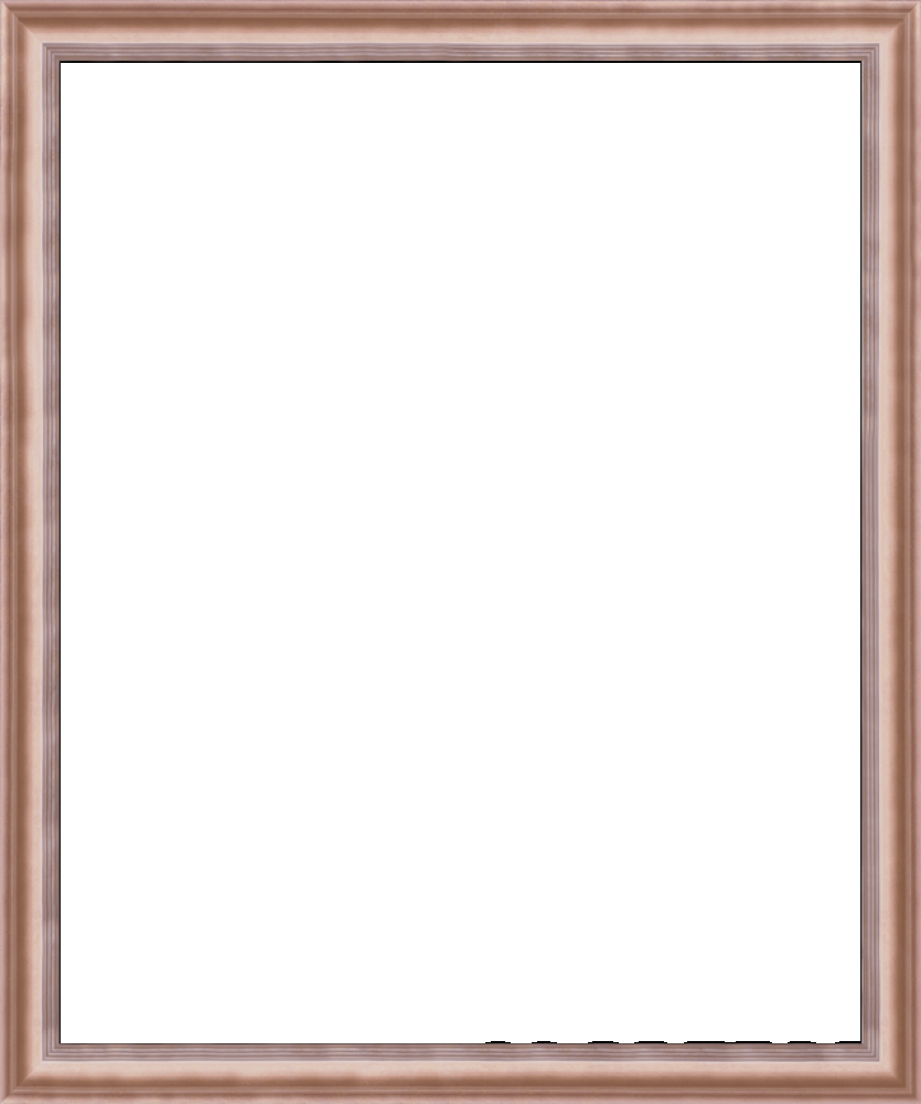 Rose Gold Classico Frame 20" X 24"