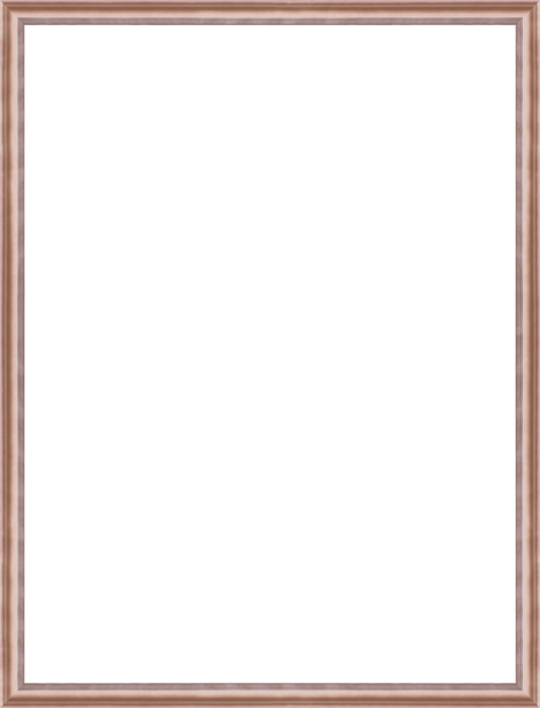 Rose Gold Classico Frame 30" X 40"