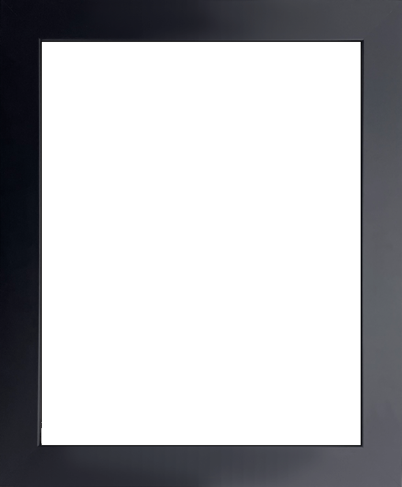Flat Black Studio Frame 16"X20"