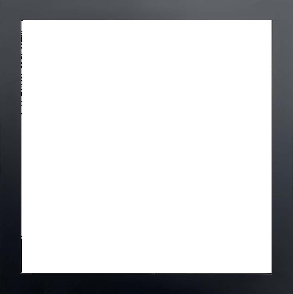 Flat Black Studio Frame 24"X24"