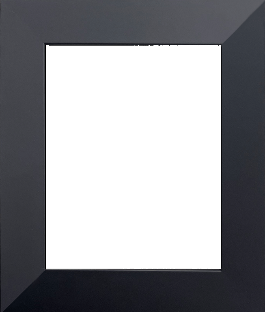 Flat Black Studio Frame 8"X10"