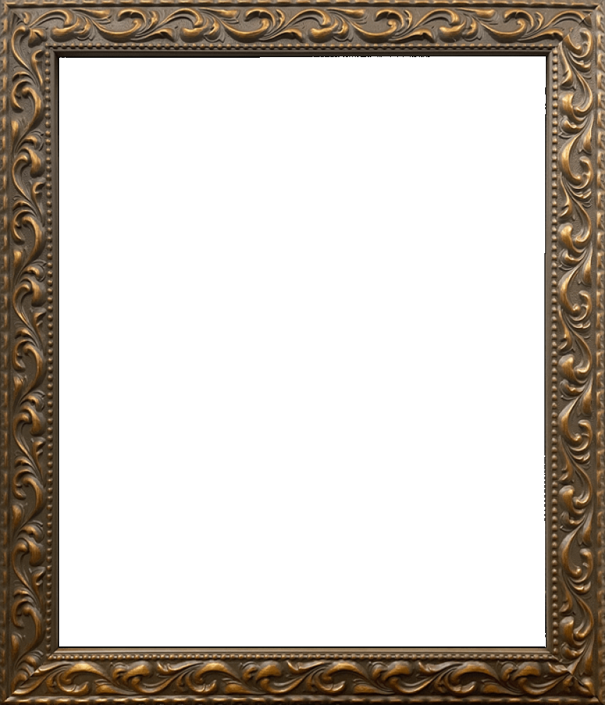 Elegant Gold Frame 20"X24"