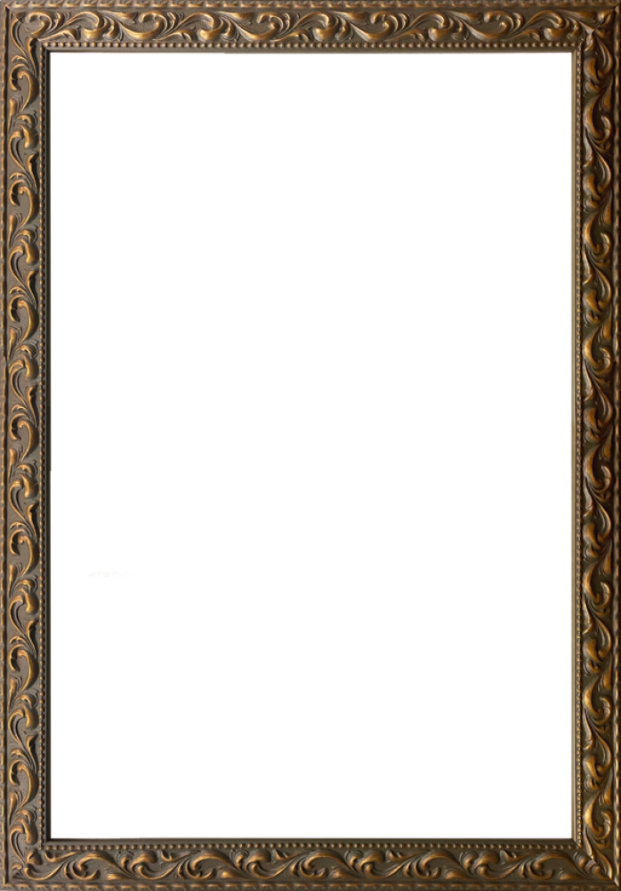 Elegant Gold Frame 24"X36"