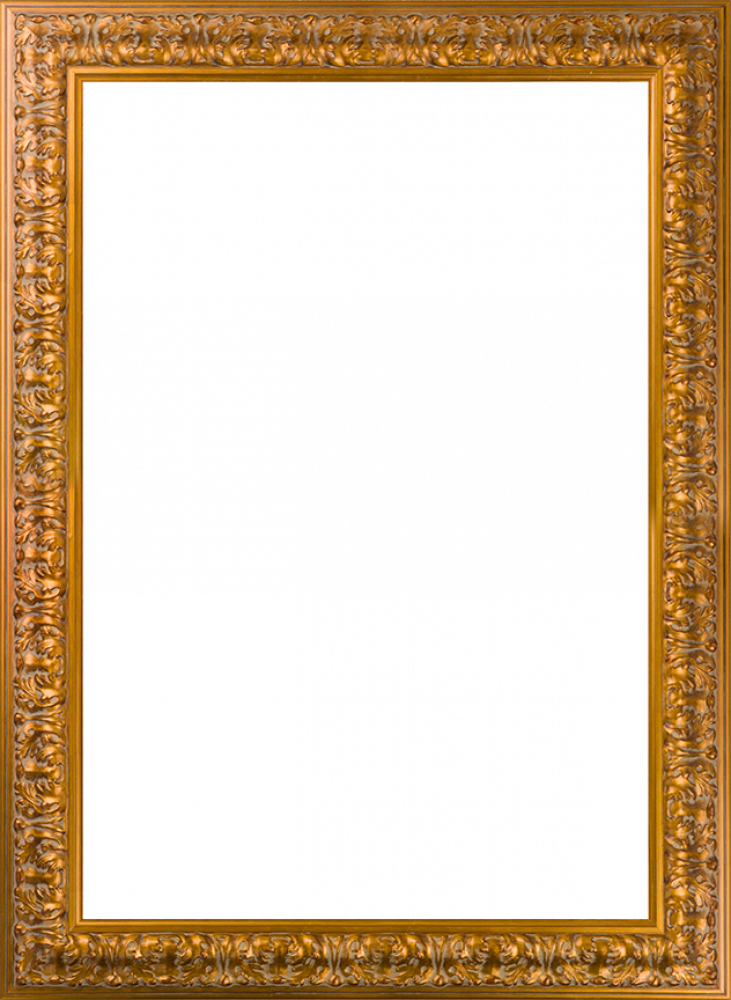 Sicilian Gold Frame 24" X 36"
