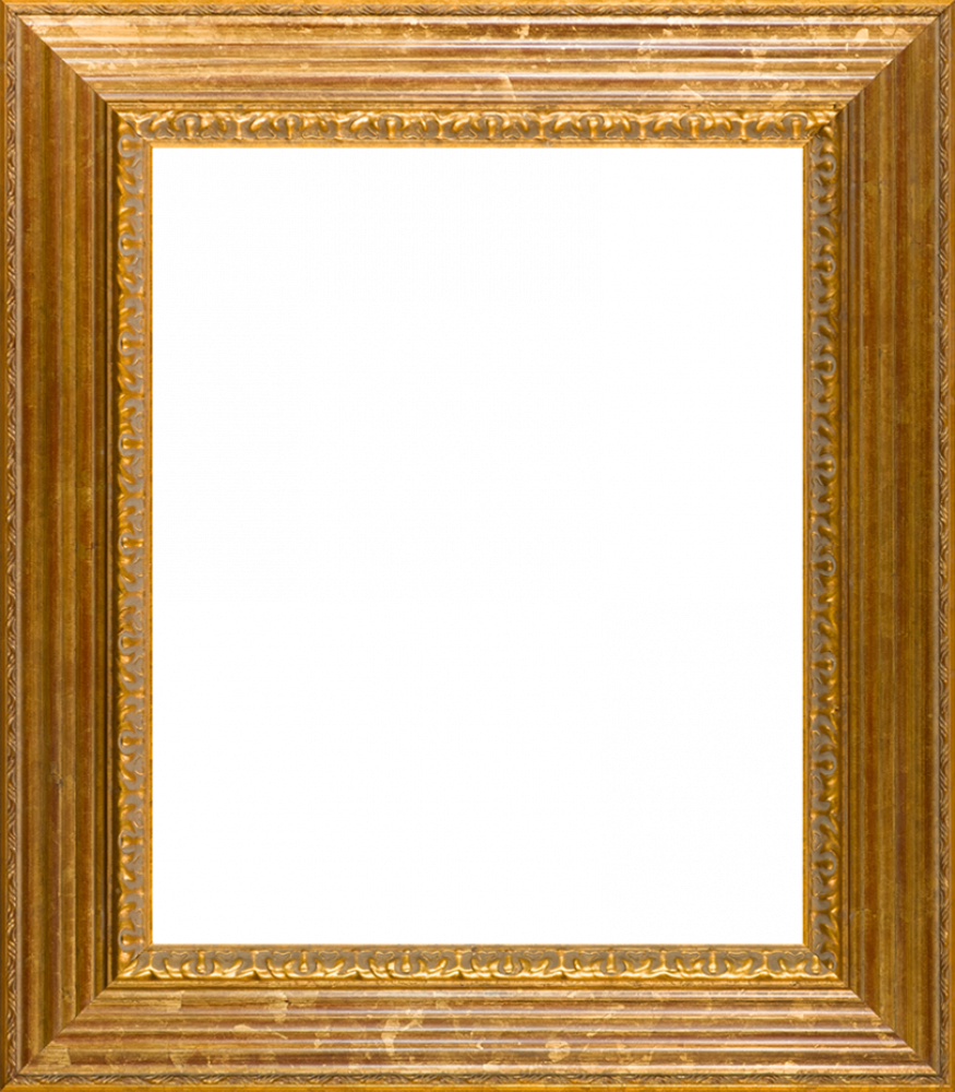 Vienna Gold Leaf Frame 20"X24"
