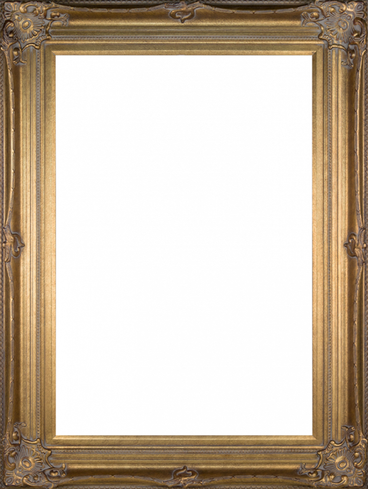Renaissance Bronze Frame 24"X36"