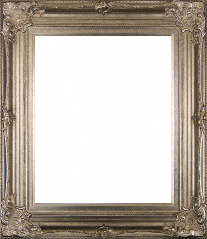 Renaissance Champagne Frame 20"X24"