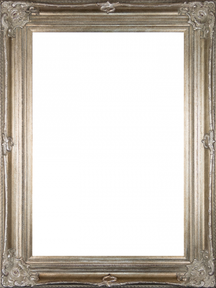 Renaissance Champagne Frame 24"X36"