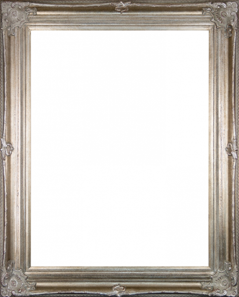 Renaissance Champagne Frame 30"X40"