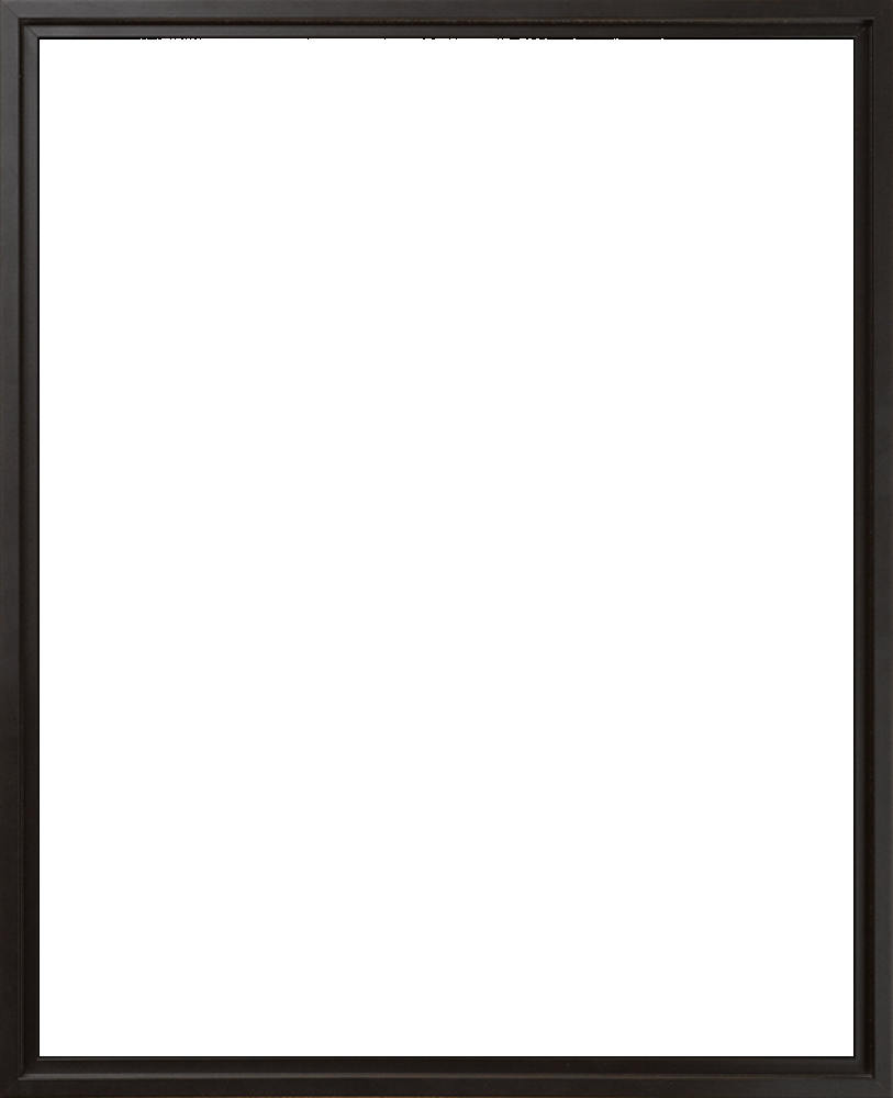 Black Floater Frame 16" X 20"