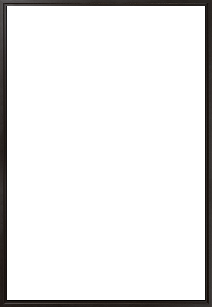 Black Floater Frame 24" X 36"