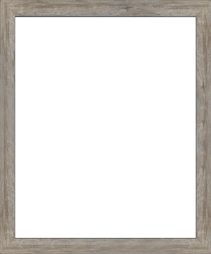 Metropolitan Pewter Frame 20" X 24"