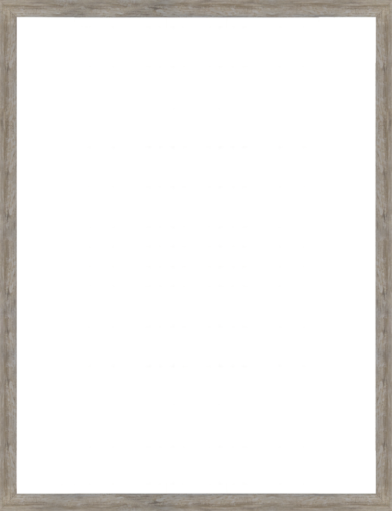 Metropolitan Pewter Frame 36" X 48"