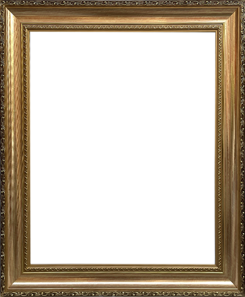Verona Gold Braid Frame 20"X24"
