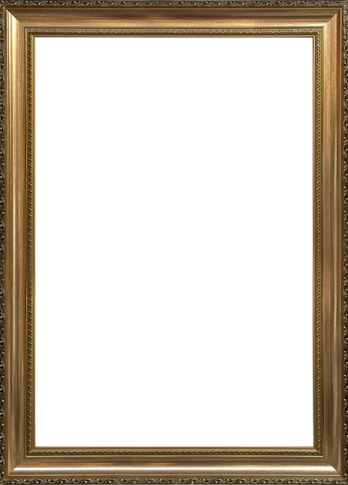 Verona Gold Braid Frame 24"X36"