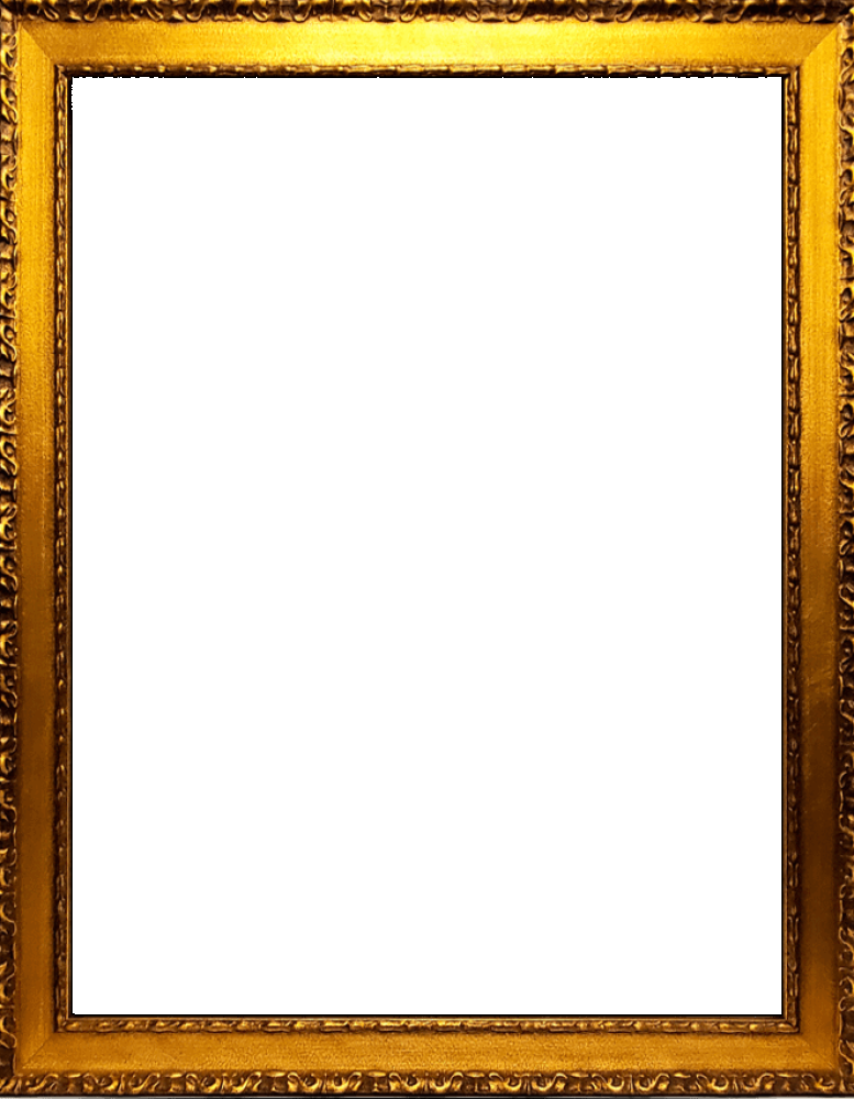 Verona Gold Braid Frame 30"X40"