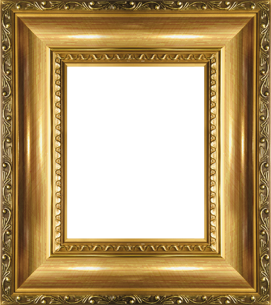 Verona Gold Braid Frame 8"X10"