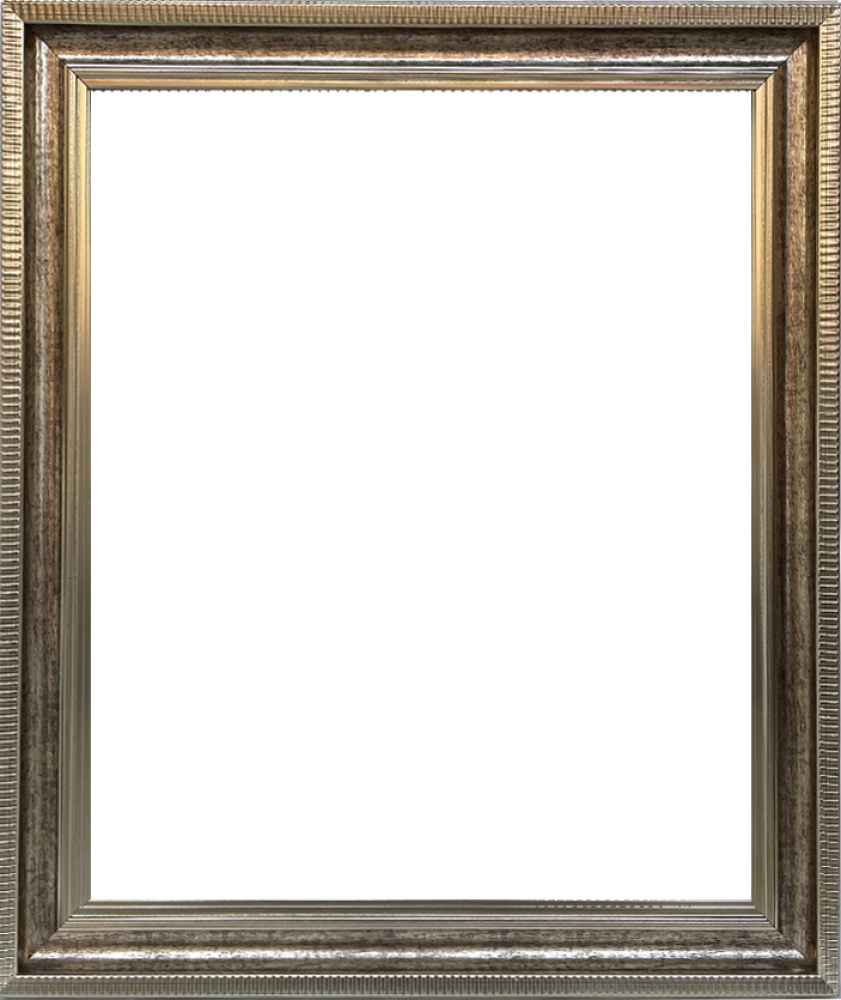 Verona Champagne Braid Frame 20