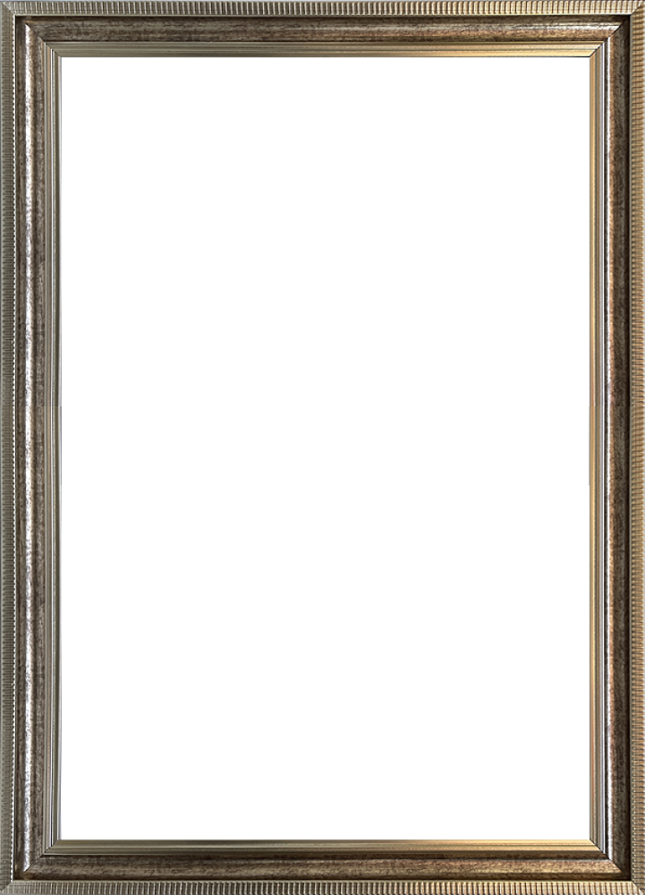 Verona Champagne Braid Frame 24