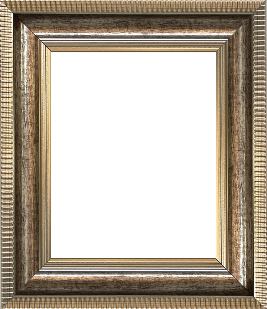 Verona Champagne Braid Frame 8