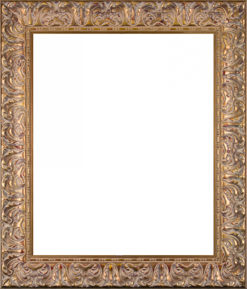 Espana Gold Frame 20"X24"