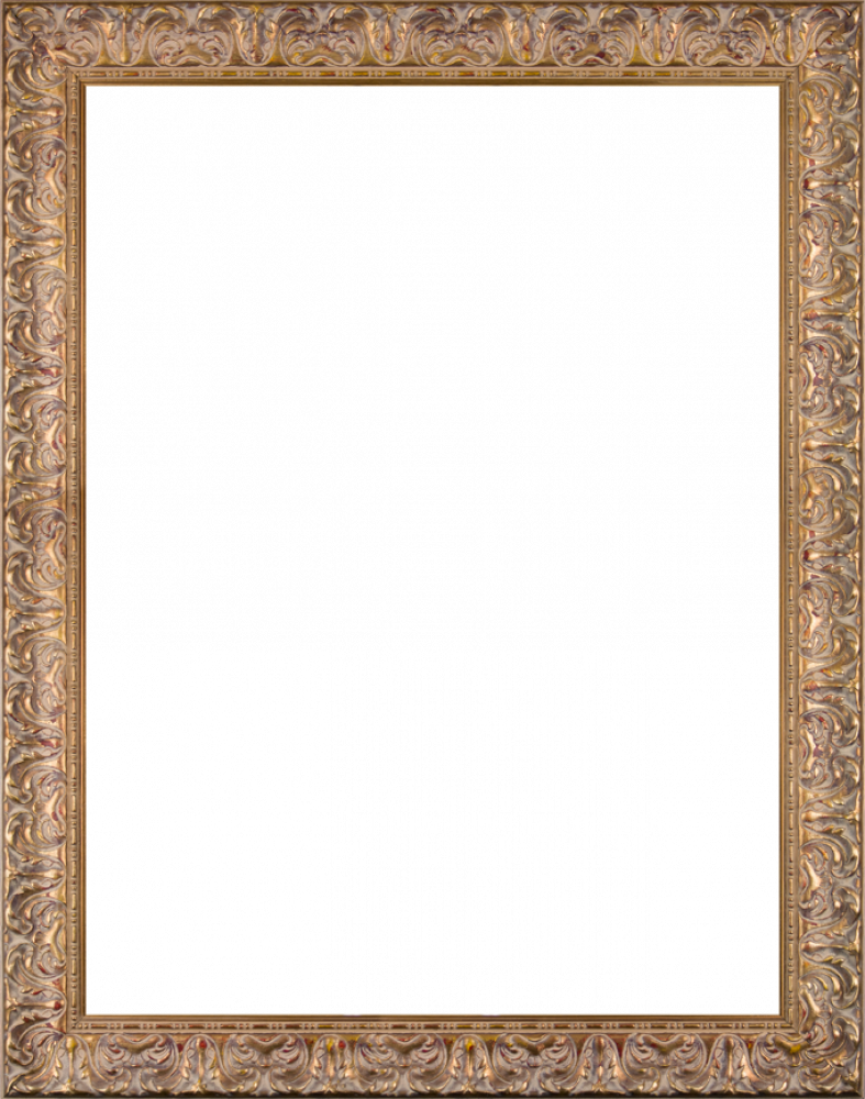 Espana Gold Frame 30"X40"