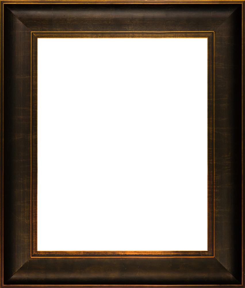 Veine D'Or Bronze Scoop Frame 16"X20"