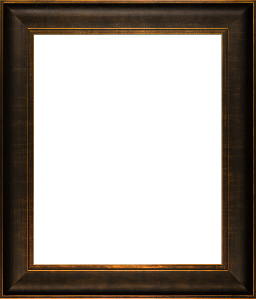 Veine D'Or Bronze Scoop Frame 20"X24"