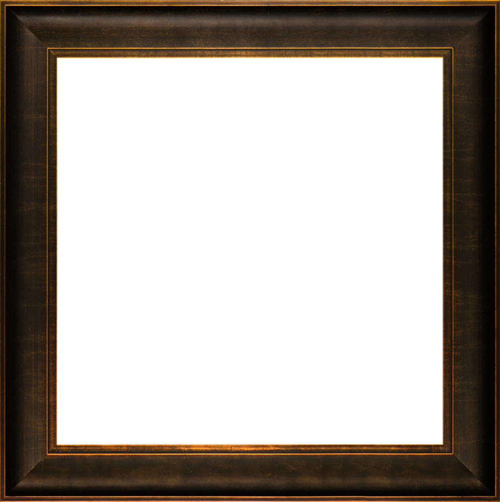 Veine D'Or Bronze Scoop Frame 24"X24"