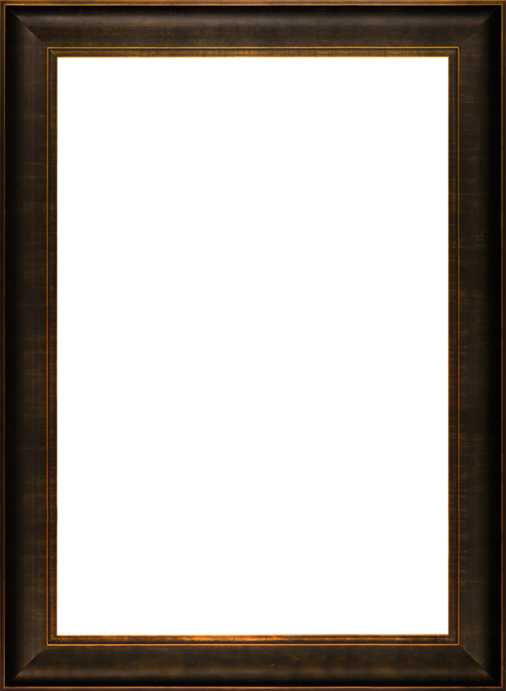 Veine D'Or Bronze Scoop Frame 24"X36"