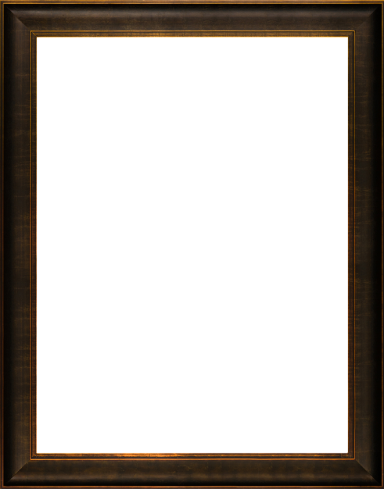 Veine D'Or Bronze Scoop Frame 30"X40"