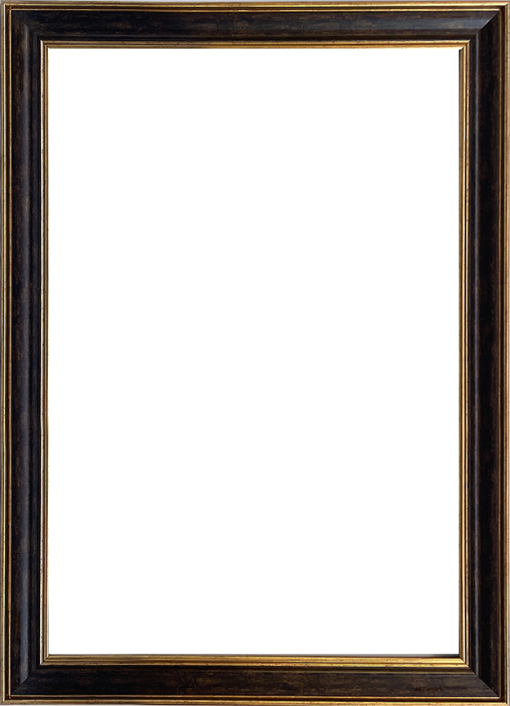 Veine D'Or Bronze Angled Frame 24"X36"