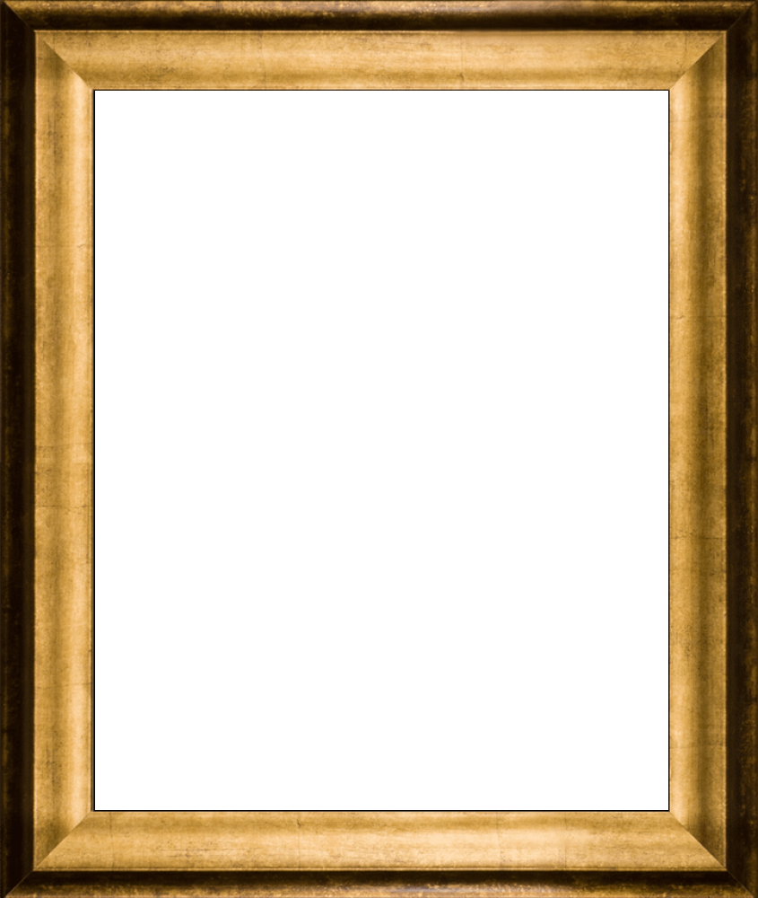 Athenian Gold Frame 16"X20"