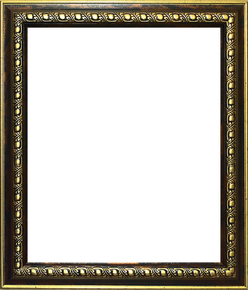 Athenian Gold Frame 20"X24"