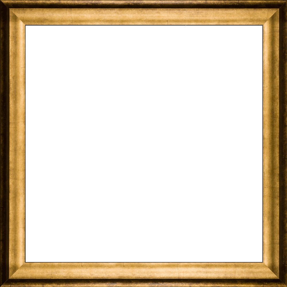 Athenian Gold Frame 24"X24"