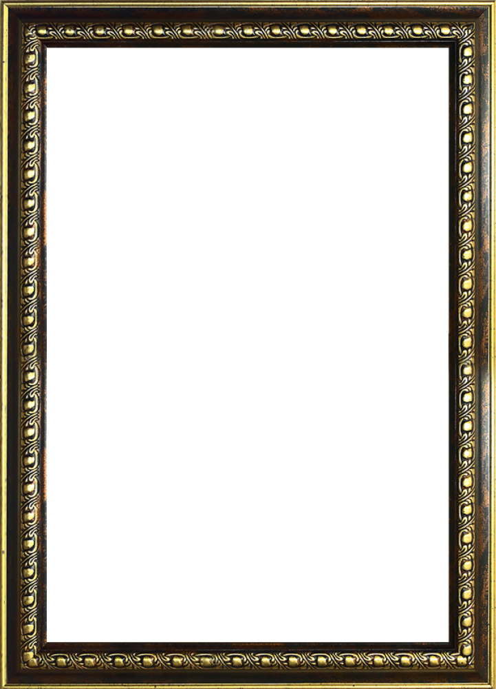 Athenian Gold Frame 24"X36"