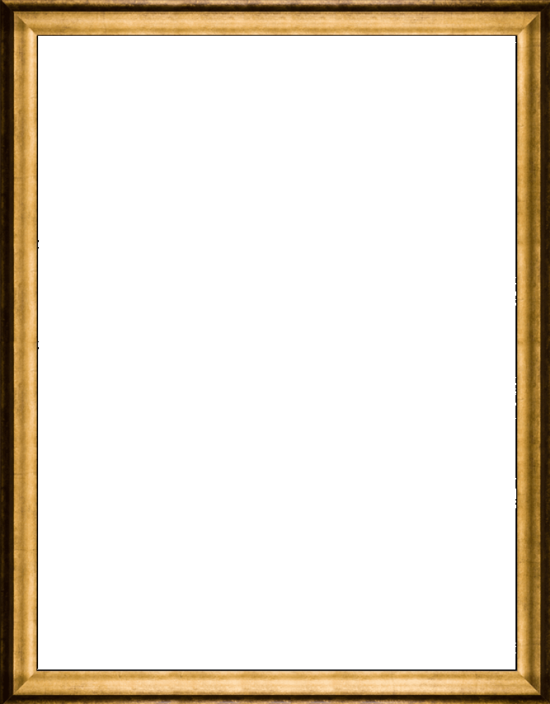 Athenian Gold Frame 36"X48"