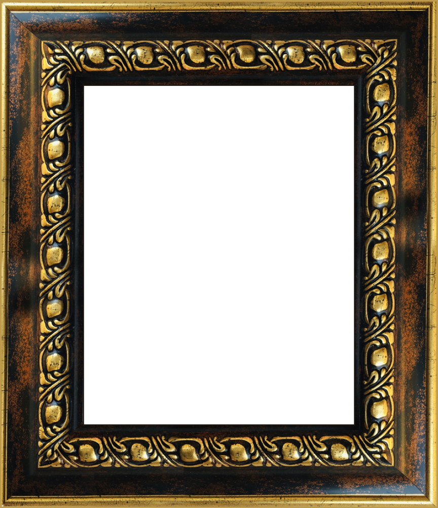 Athenian Gold Frame 8"X10"
